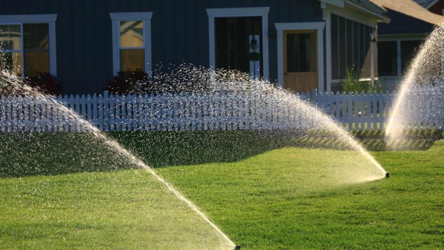 Sprinkle the Love: Essential Tips for Sprinkler Maintenance