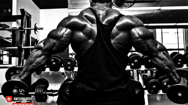 Muscle Mastery: Unleashing Your Ultimate Bodybuilding Potential
