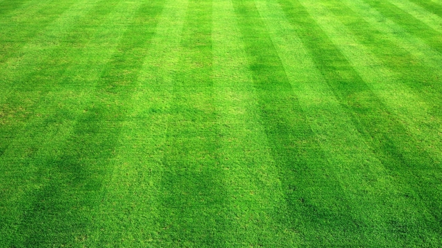 The Ultimate Guide to a Lush and Well-Manicured Lawn