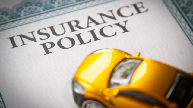 A Complete Guide to Navigating the Complex World of Insurance Services