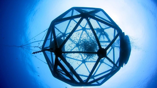 Revolutionizing the Deep: Innovative Technologies Transforming Aquaculture