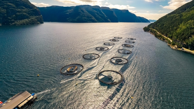 Revolutionizing the Waves: The Future of Aquaculture Technology