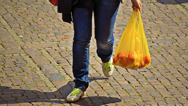 From Convenience to Conundrum: The Plastic Shopping Bag Dilemma