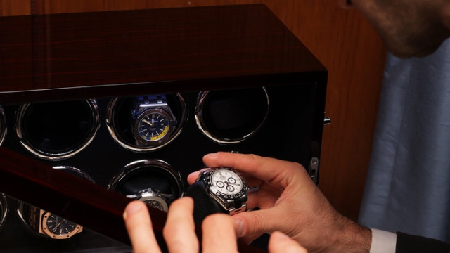 Timekeepers Unplugged: The Art and Science of Watch Winders