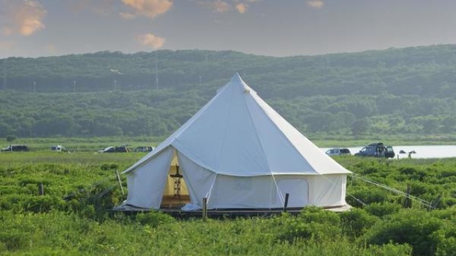 Elevate Your Events: The Ultimate Showdown Between Printed Canopy Tents and Inflatable Dome Tents