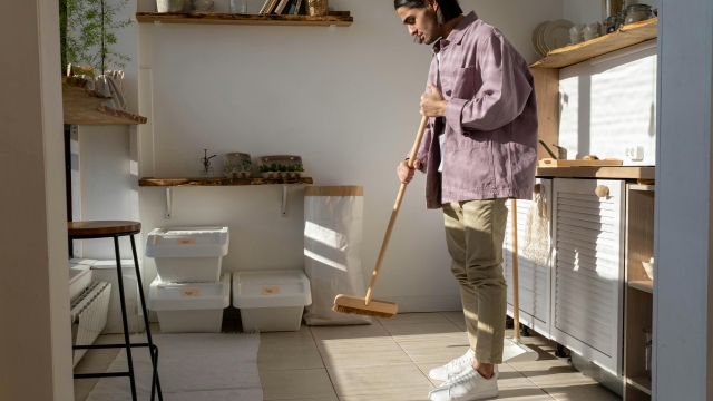 Sparkle & Shine: Mastering the Art of House Cleaning