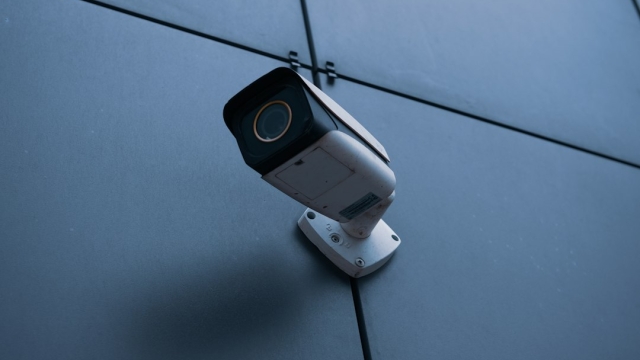 Unseen Eyes: Exploring the World of Security Cameras