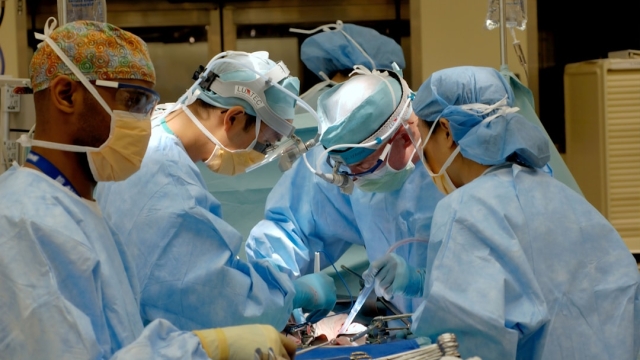 Understanding Cataracts and Their Impact on Vision Cataracts common