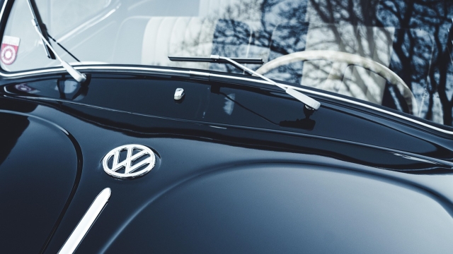 What is Professional Auto Detailing Maintaining appearance